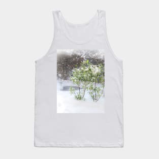 Fresh snow in garden with heart shaped pond Tank Top